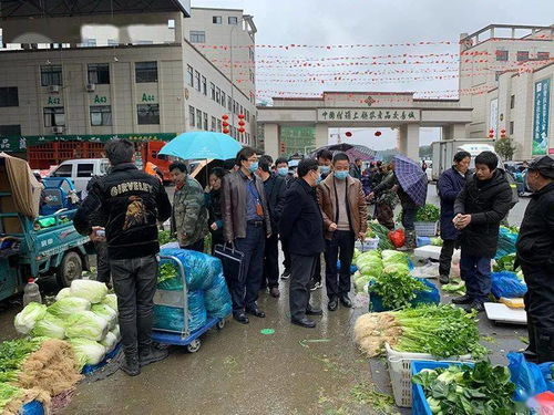 春節(jié)期間食用農產品質量安全專項執(zhí)法行動全面展開，筑牢群眾“菜籃子”安全防線