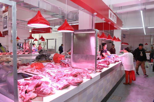 白城市節(jié)日市場生活必需品供應充足平穩(wěn) 食用農產品批發(fā)市場運行良好